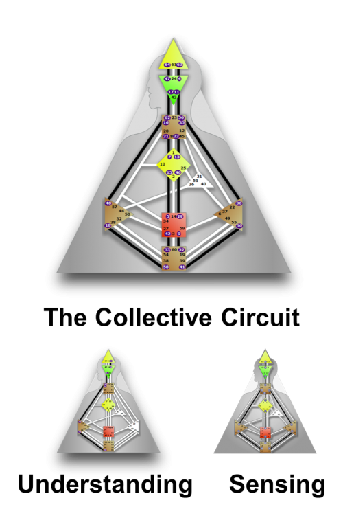 The Collective human design